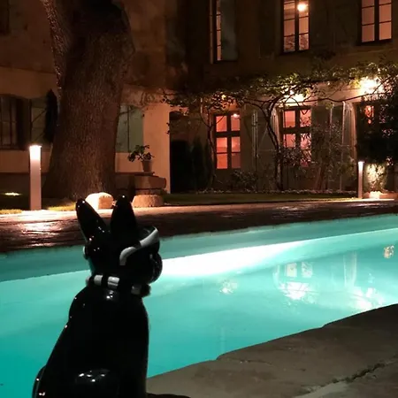 L'inattendu Lavaur (Tarn)